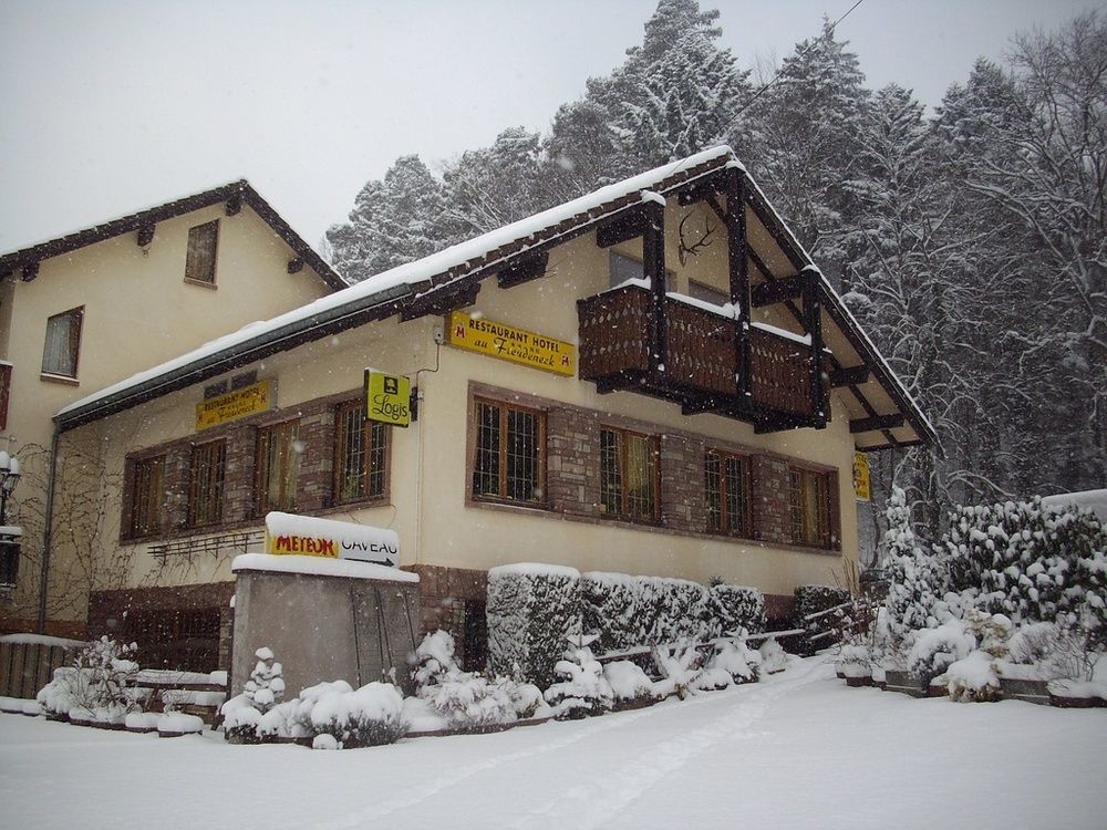 Hotel Le Freudeneck à Wangenbourg-Engenthal Extérieur photo